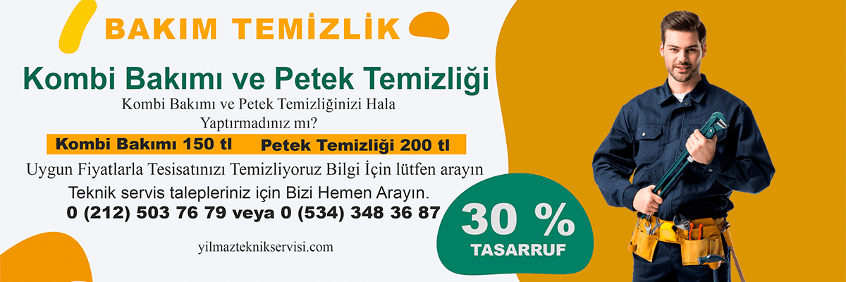 Maltepe Petek Temizleme Servisi